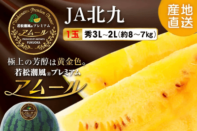 若松潮風プレミアム アムール
