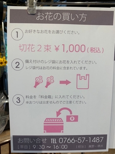 Gx0BBWHaJUM4bTf7IT1Z.jpg?w=940&h=940