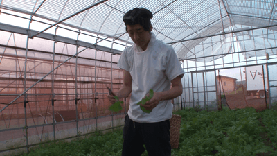 GxDOv2FbhGDnGgHUfdnQ.png?w=940&h=940