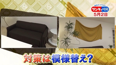 Gz4WBk1kJteiKxPVeiDI.jpg?w=940&h=940