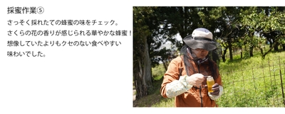 GzM7ExfUXDoa6Nw2bKkn.jpg?w=940&h=940