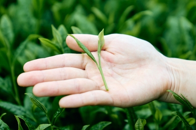 Gzf55rHp75A4ATIN7UXa.jpg?w=940&h=940