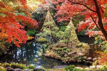 殿ヶ谷戸庭園