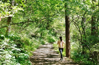 H1AhX9y9qIcFsl4PCLnr.jpg?w=940&h=940