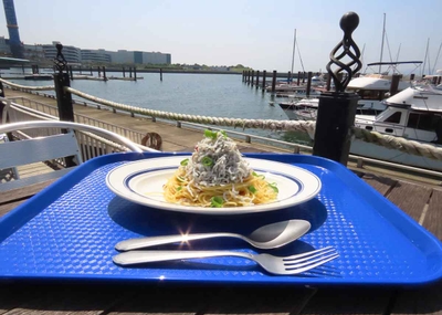 H1pOXkr44zQdZYGbNx8O.jpg?w=940&h=940