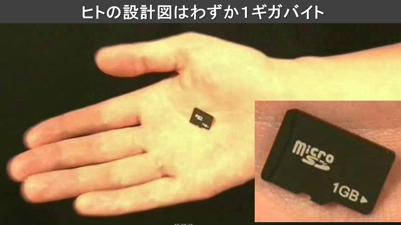 第2回 個人のゲノム情報