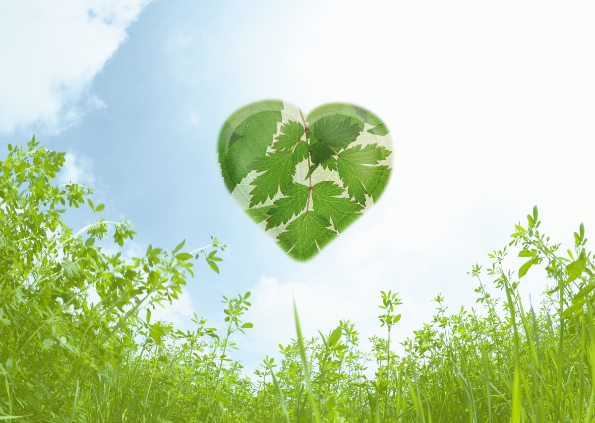 マインドフルネスとは何か？～本当の定義、やり方、学び方のまとめ