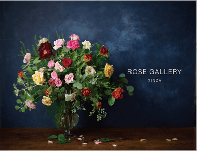 H56sqTgCK3JkO2NitFot.png?w=940&h=940