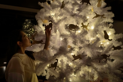 H58auOgovjNweMnLClod.jpg?w=940&h=940