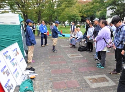 H5SoIgmcrNtcRt8TgT7D.jpg?w=940&h=940