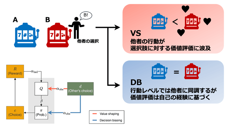集団が急激な環境変化に柔軟に対応できるための 認知・行動メカニズム