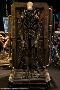 H6vhT0UI76jfz0M5RssI.jpg?w=940&h=940