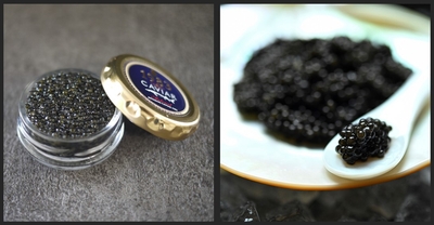 H73ul7bnvdhAkQZCu6Pm.jpg?w=940&h=940