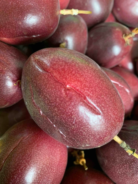 完熟でも筋が入ればアウト!