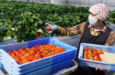 H7cytrcolwTIcLfFVSG5.jpg?w=940&h=940