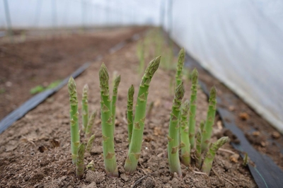 H92n3dFq8G3nxPCwzRsH.jpg?w=940&h=940