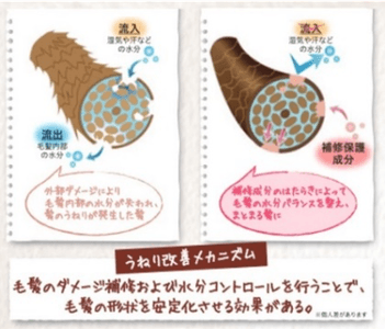 うねりをケアする水分コントロール成分の導入