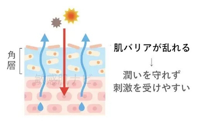 H9hejY1g5IC0fOqKwFjF.jpg?w=940&h=940