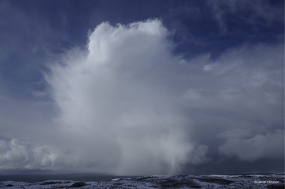 H9mH7zfKDTV5S0m31Pff.jpg?w=940&h=940