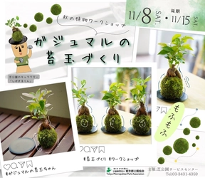 11月8日（土）「ガジュマルの苔玉づくり」開催！【都立芝公園】