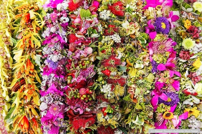 HBsCU1YK6nmJUaOZb3TB.jpg?w=940&h=940