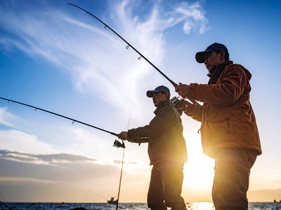 HCEygByhgIm3cgp4WGqj.jpg?w=940&h=940