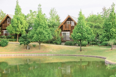 HCigPiRPCiYAF5jxvYo4.jpg?w=940&h=940