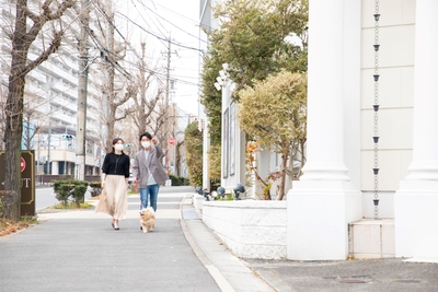 HD150BVIboDoWzDwanbl.jpg?w=940&h=940