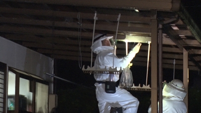 HDv9L1wm8lcd71yuxp1G.jpg?w=940&h=940