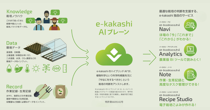 e-kakashiサービスの概要