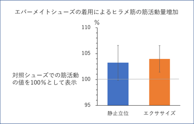 ヒラメ筋活動量