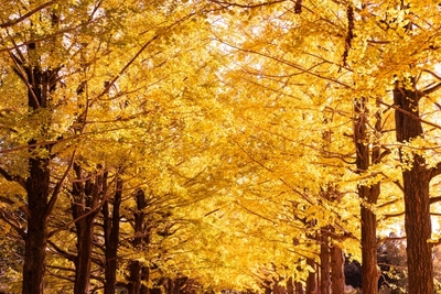 HFO6lyl0cTWuR3xIJY0S.jpg?w=940&h=940