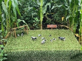 HG15HZhNGCDdaWdrPdWd.jpeg?w=940&h=940