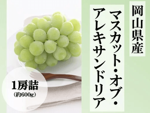 マスカット・オブ・アレキサンドリア1房詰(7月上旬頃~7月下旬発送)【お中元】
