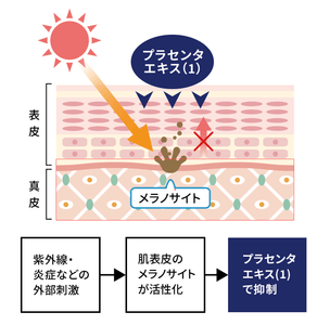 HHamg7Fmi23Jwc8fntqr.png?w=940&h=940