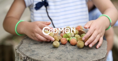 HHmSbFtqfMwWL0QOseBr.jpg?w=940&h=940