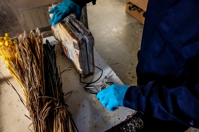 HIAWWyZom336b7w7jHAr.jpg?w=940&h=940