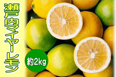 HJKz2RcBKovaDwp202Os.png?w=940&h=940