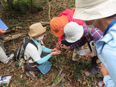 HJWIQXxcBcUYak6ZjZG9.jpg?w=940&h=940