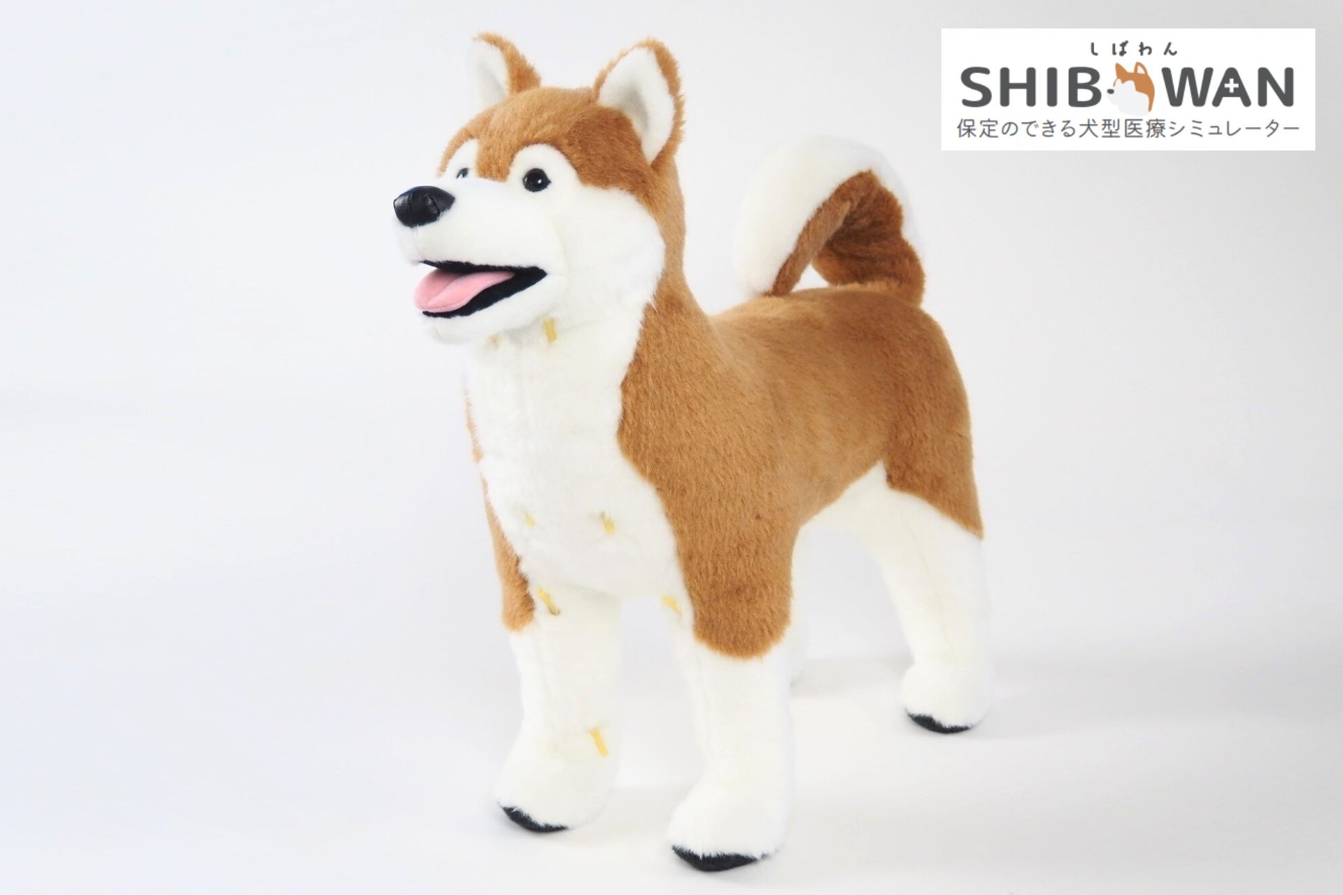 ねこにゃん　採血　保定　シュミレーター　愛玩動物看護師　動物病院 保定のできる猫型採血シミュレーター ねこにゃん – anifull