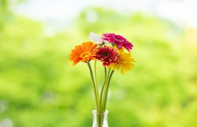 HL1fGtf6zg3pDGu5OSJD.jpg?w=940&h=940