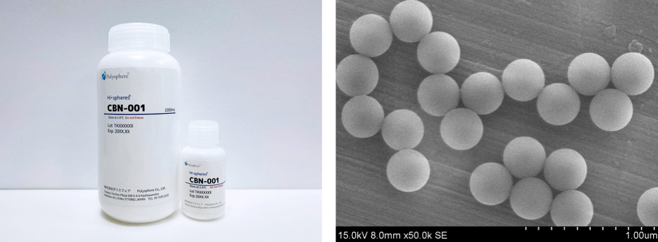 体外診断用ラテックス粒子世界市場レポート：主要企業、ランキング、成長予測2026-2032