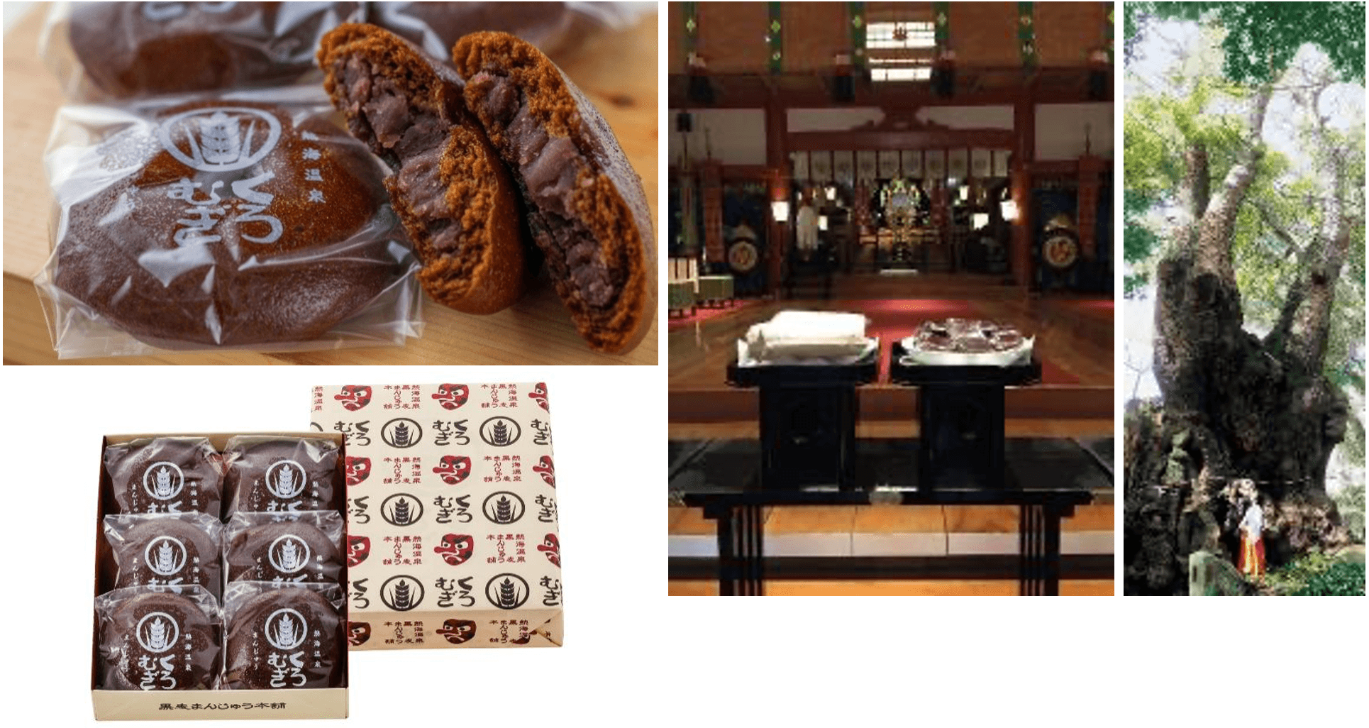 黒麦まんじゅう/来宮神社 樹齢2,000年を超える大楠