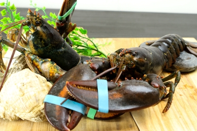 HN8JNeBp1Q98eIUNz7T0.jpg?w=940&h=940