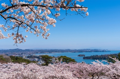 HOBQ0dzoGeuG27833paO.jpg?w=940&h=940