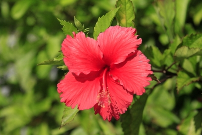 過去の写真でももちろんOK