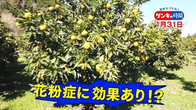 HQk6dQBnWZlUpoBeBupr.jpg?w=940&h=940