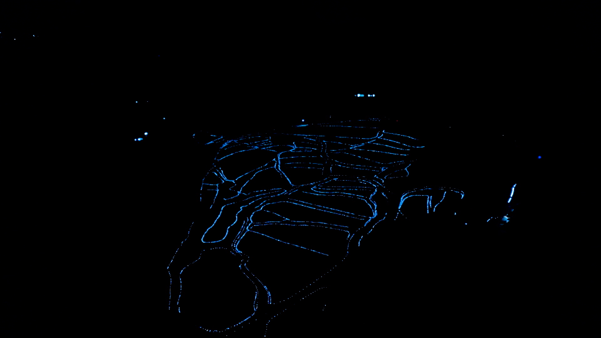 地上絵のような青い光