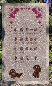 HRT12nSj1aPKnCYUTMuT.jpg?w=940&h=940