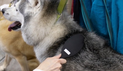 HRgHz2RqTMYRHJryLZ2x.jpg?w=940&h=940